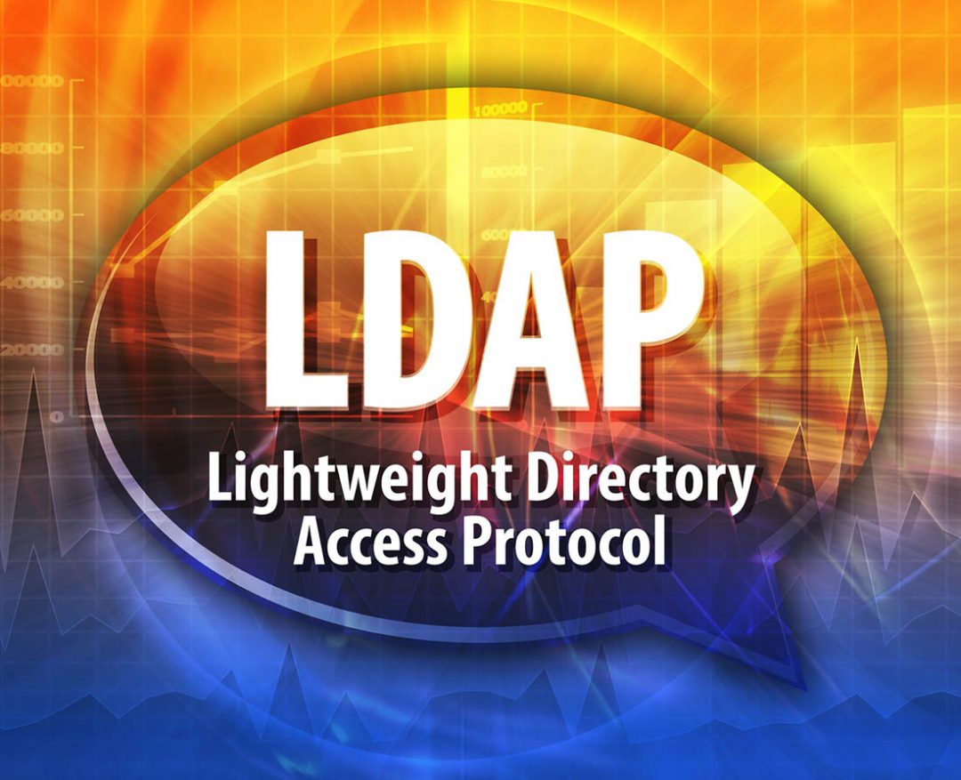 Active Directory, LDAP (Lightweight Directory Access Protocol)